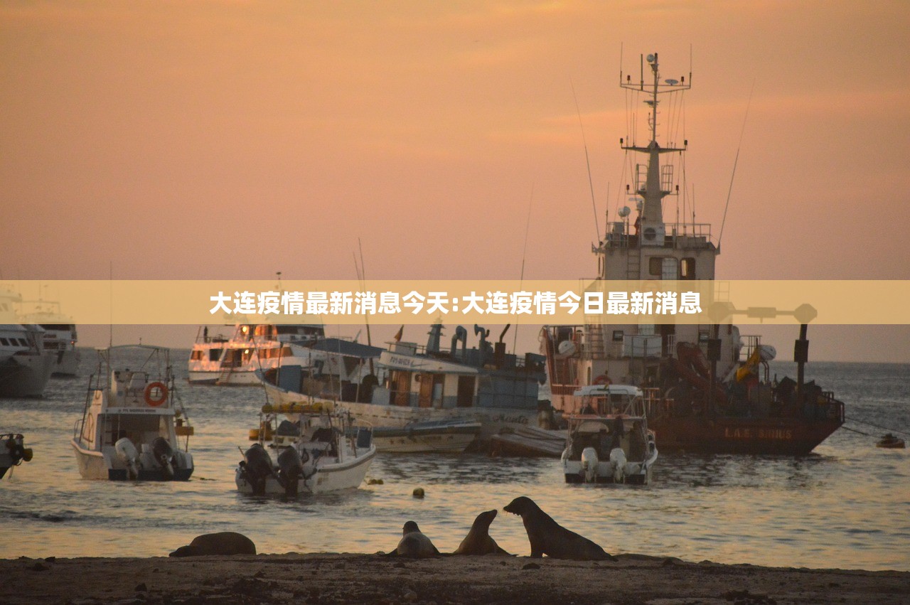 大连疫情最新消息今天:大连疫情今日最新消息