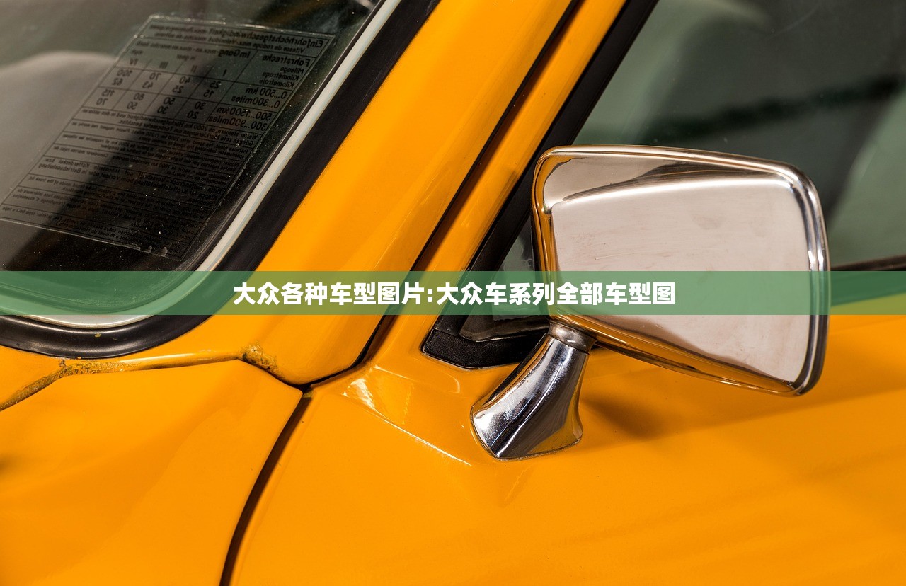 大众各种车型图片:大众车系列全部车型图