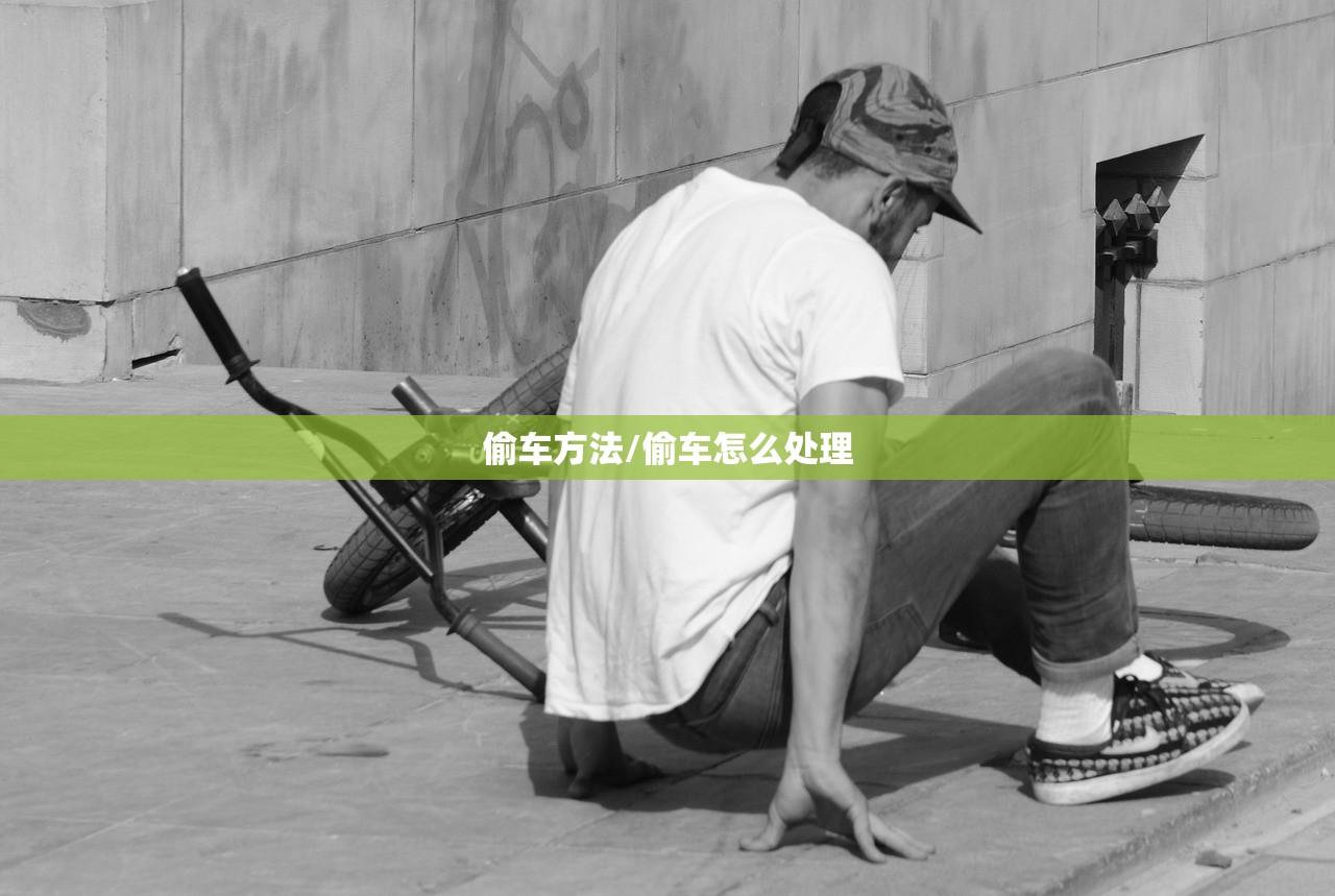 偷车方法/偷车怎么处理