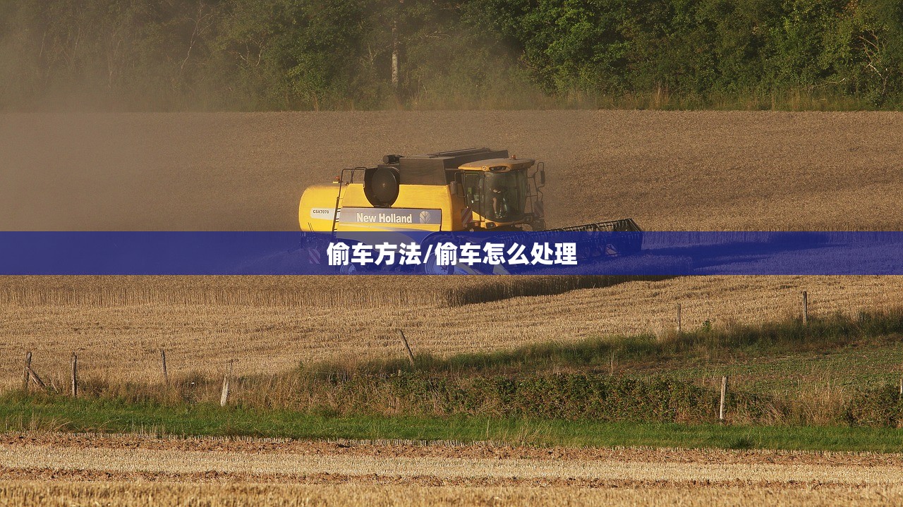 偷车方法/偷车怎么处理