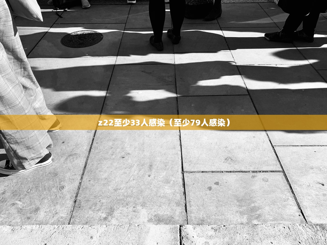 z22至少33人感染（至少79人感染）
