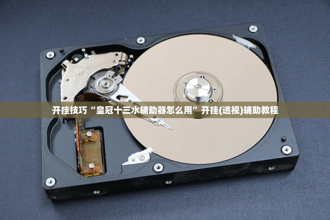 开挂技巧“皇冠十三水辅助器怎么用”开挂(透视)辅助教程