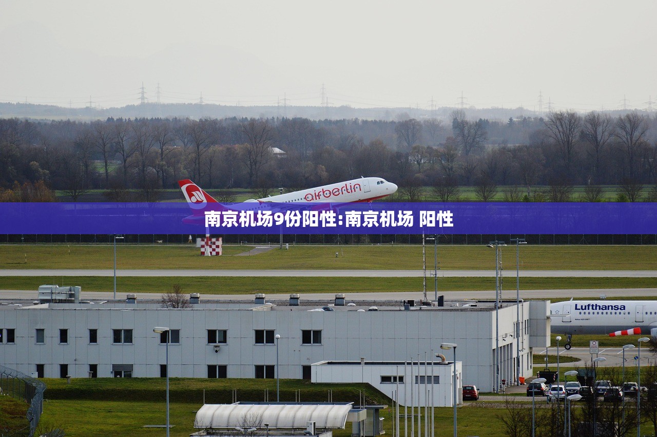 南京机场9份阳性:南京机场 阳性