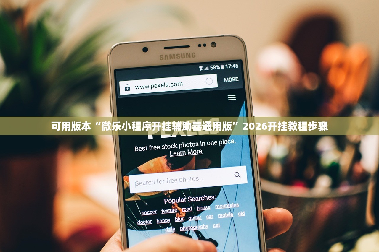 可用版本“微乐小程序开挂辅助器通用版	”2026开挂教程步骤