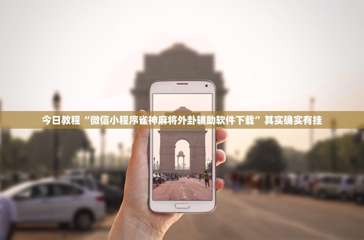 助赢神器“桃乐互娱麻将辅牌器”开挂(透视)辅助教程