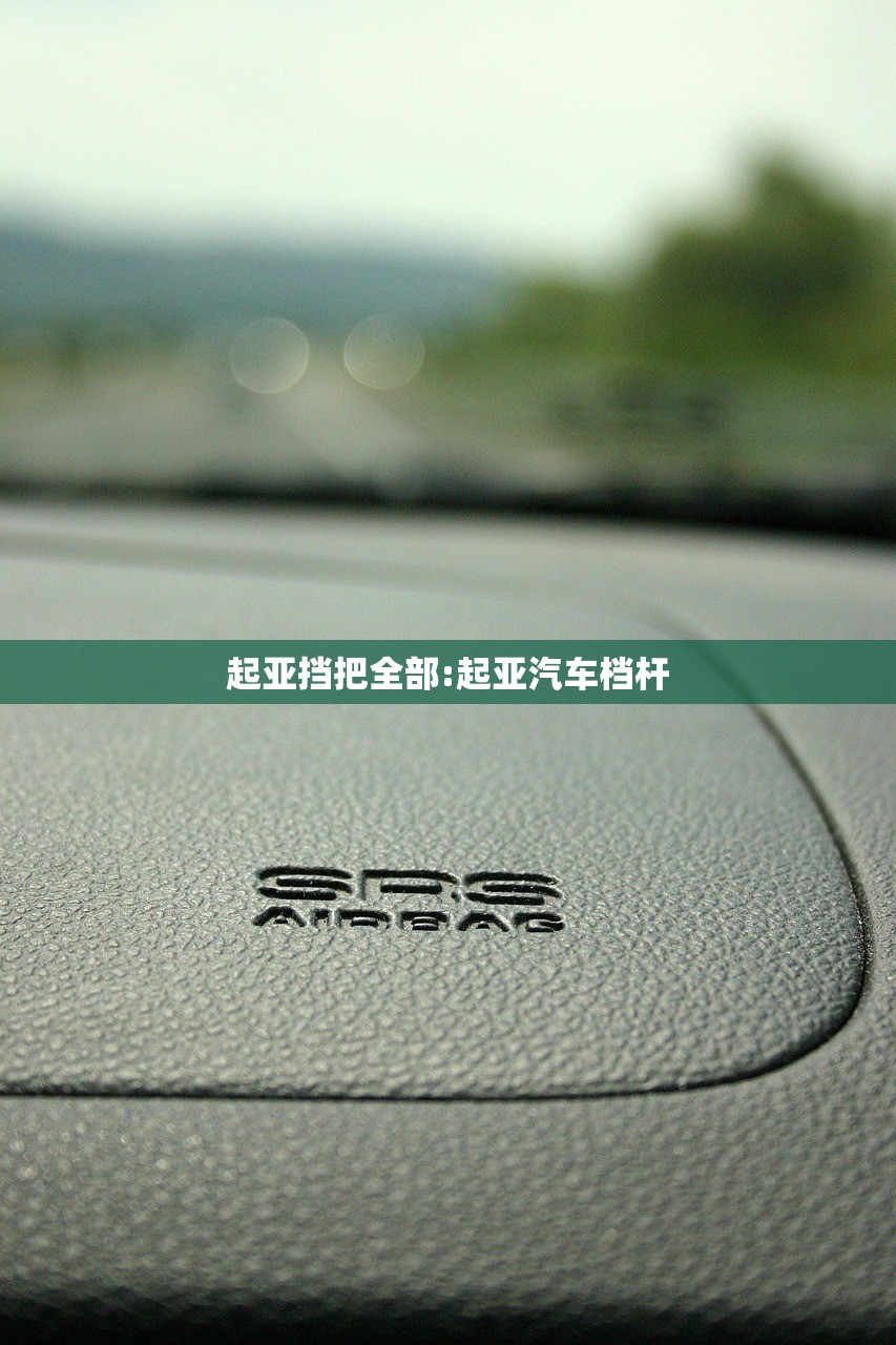 起亚挡把全部:起亚汽车档杆