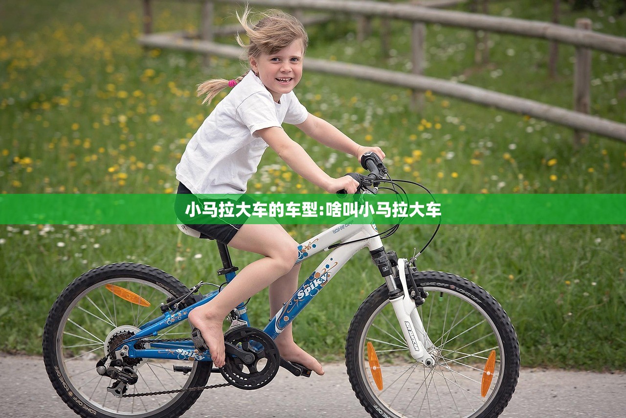 小马拉大车的车型:啥叫小马拉大车