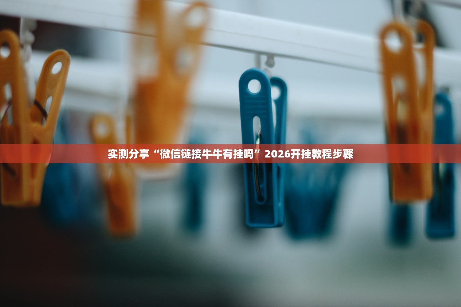 必备科技“手机十三水有挂吗”科技辅助神器手机版