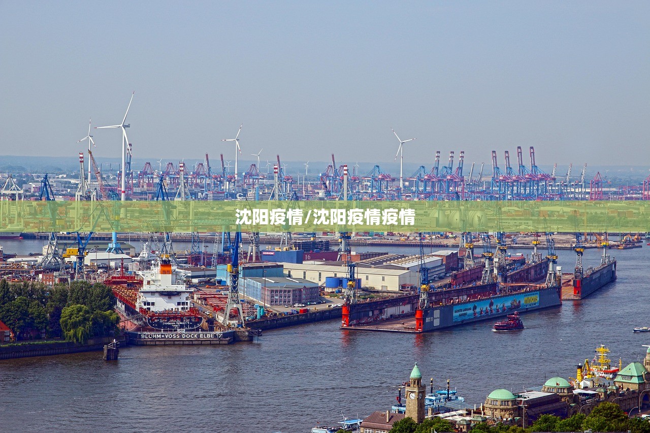 沈阳疫情/沈阳疫情疫情