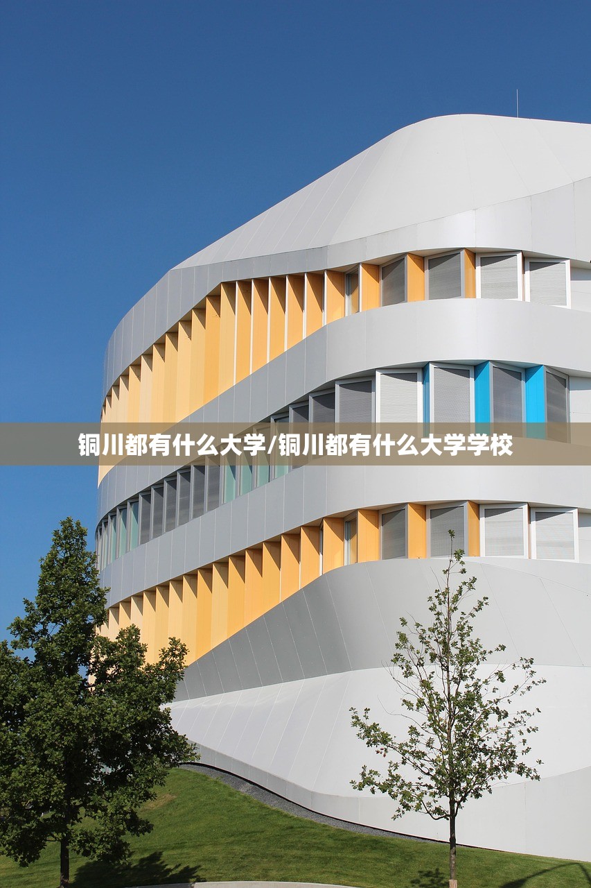 铜川都有什么大学/铜川都有什么大学学校