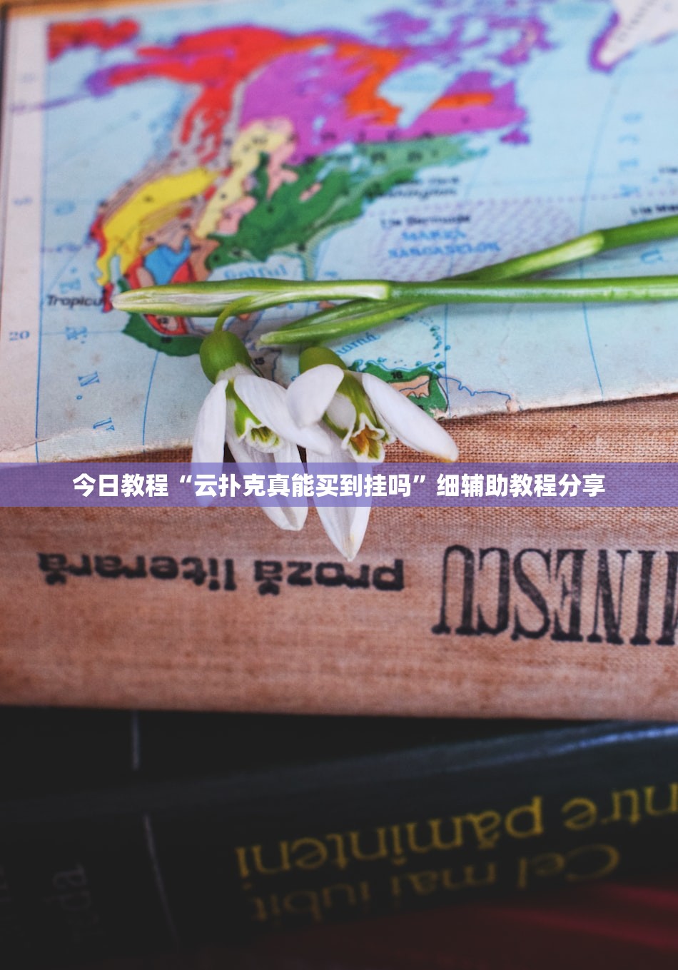 今日教程“云扑克真能买到挂吗	”细辅助教程分享