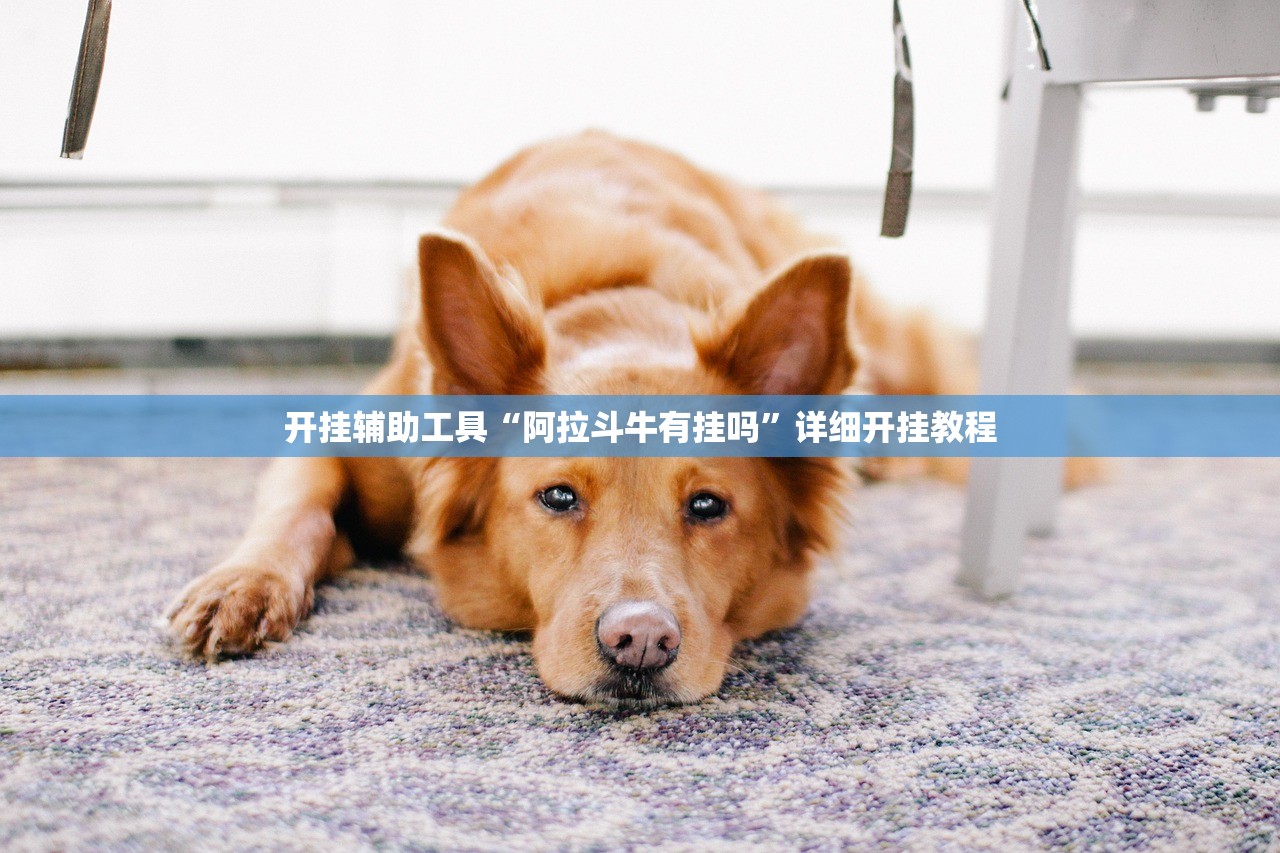 开挂辅助工具“新九天大厅开挂透视”其实确实有挂