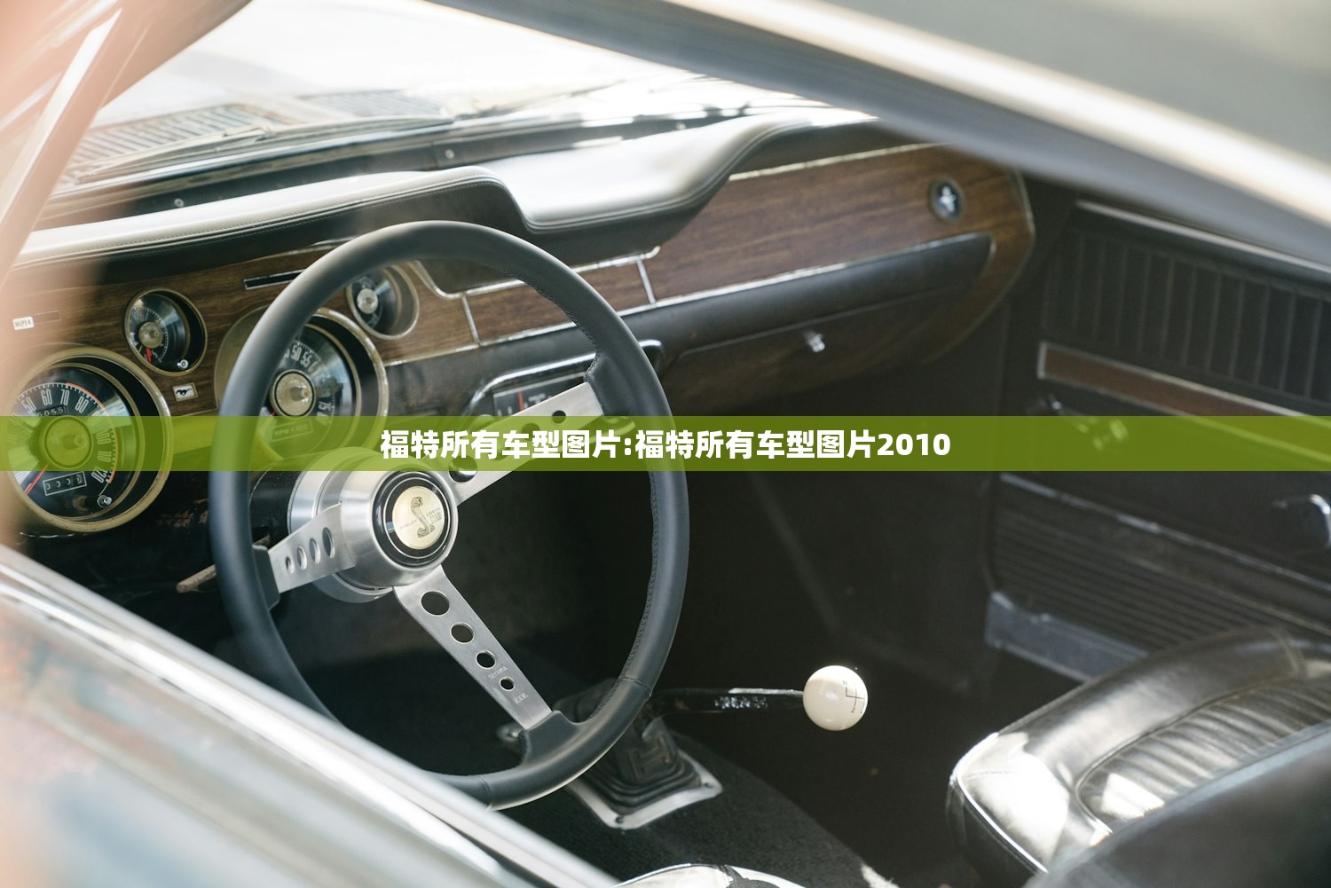 福特所有车型图片:福特所有车型图片2010