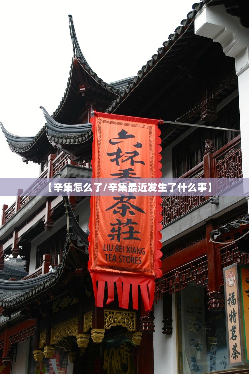 【辛集怎么了/辛集最近发生了什么事】