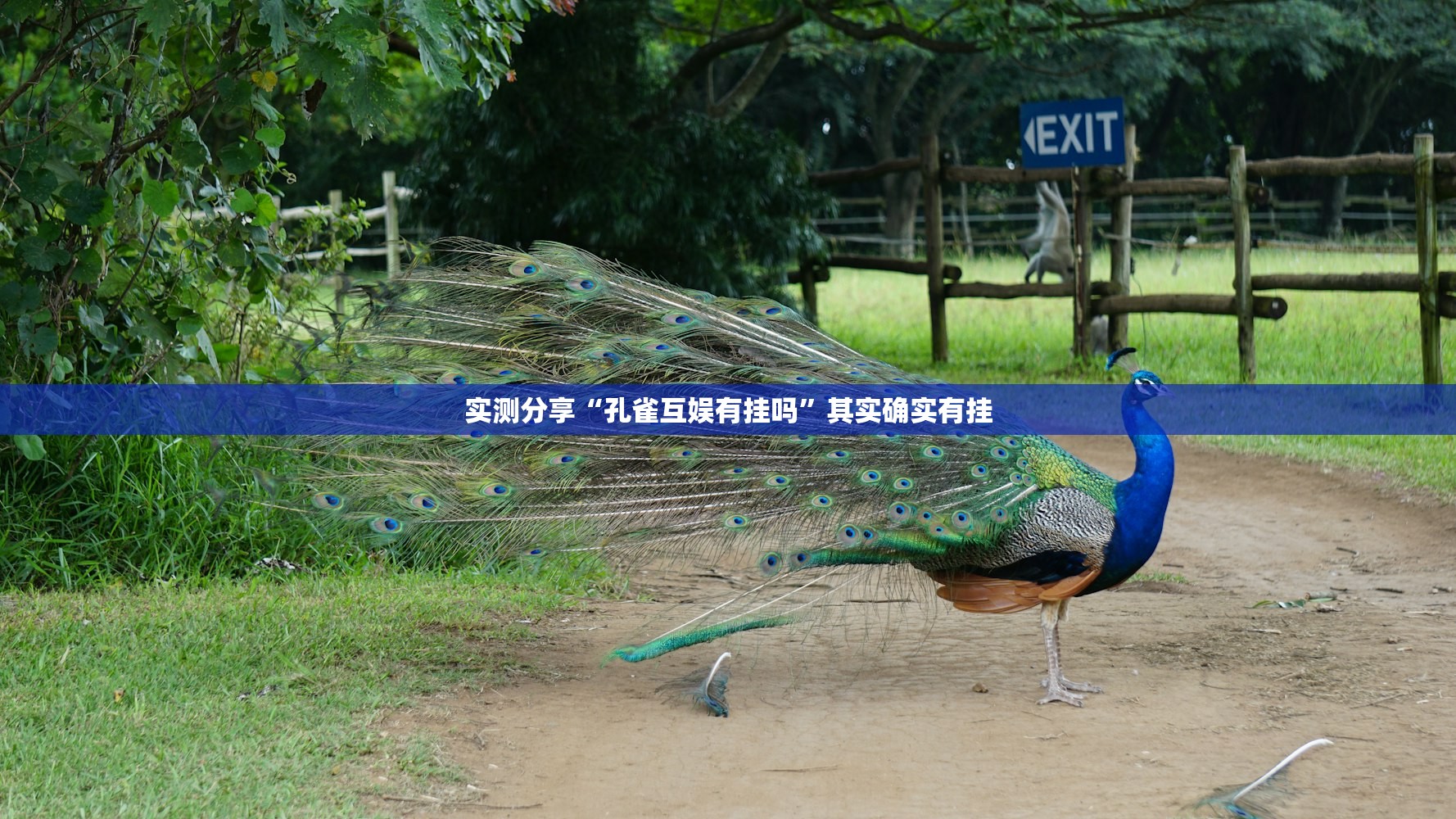 【31省份新增本土确诊40例,31省份新增确诊37例27例为本土病例】