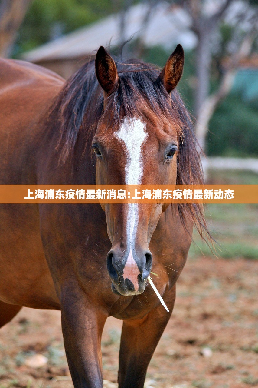 上海浦东疫情最新消息:上海浦东疫情最新动态