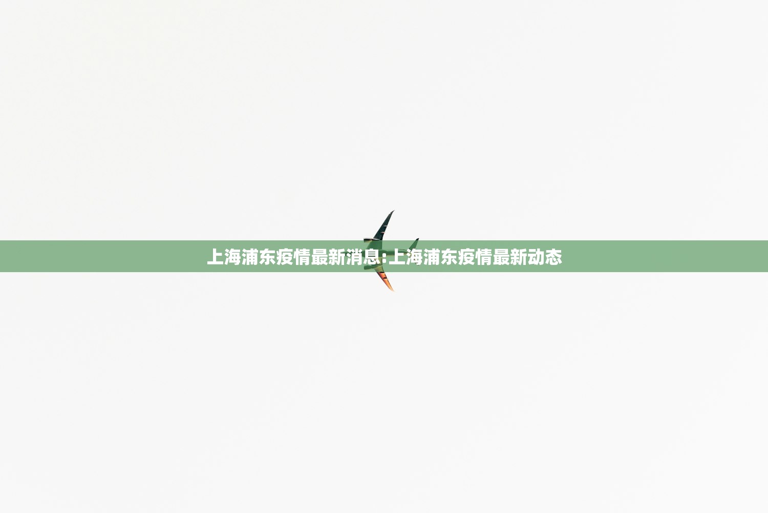 上海浦东疫情最新消息:上海浦东疫情最新动态