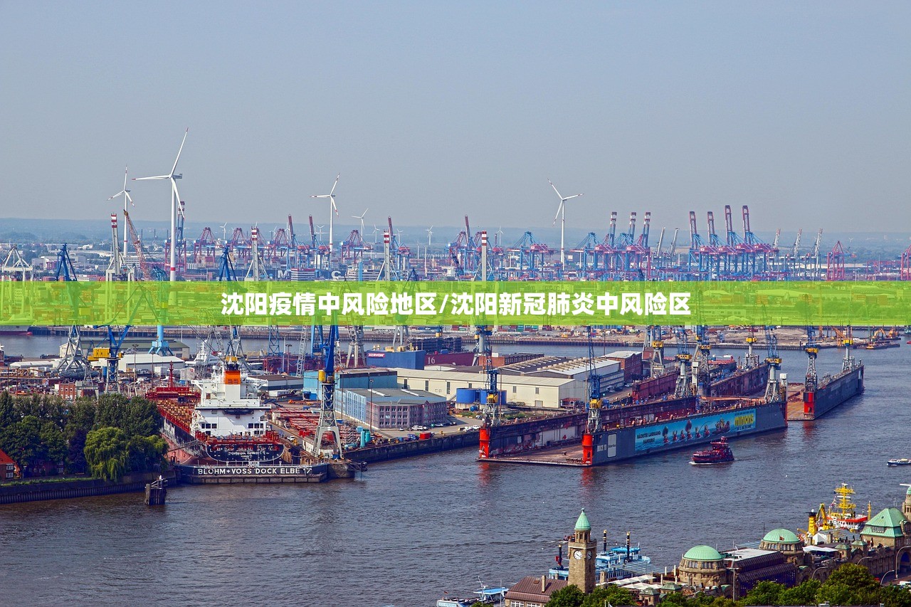 沈阳疫情中风险地区/沈阳新冠肺炎中风险区