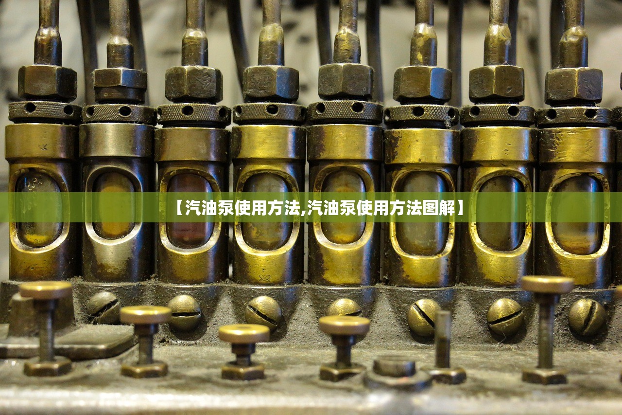 【汽油泵使用方法,汽油泵使用方法图解】 【汽油泵使用方法,汽油泵使用方法图解】