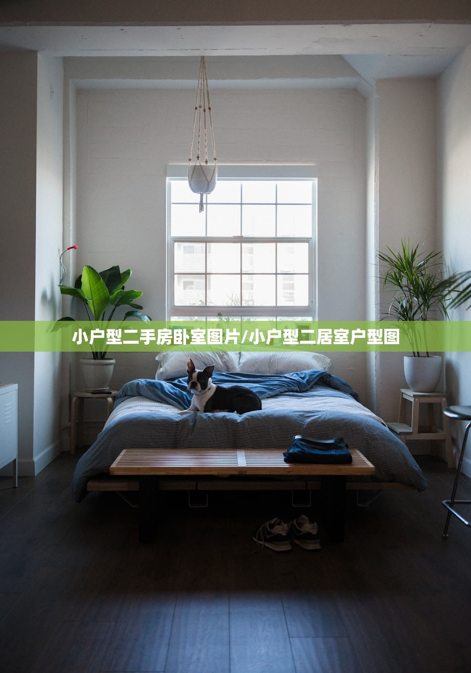 小户型二手房卧室图片/小户型二居室户型图
