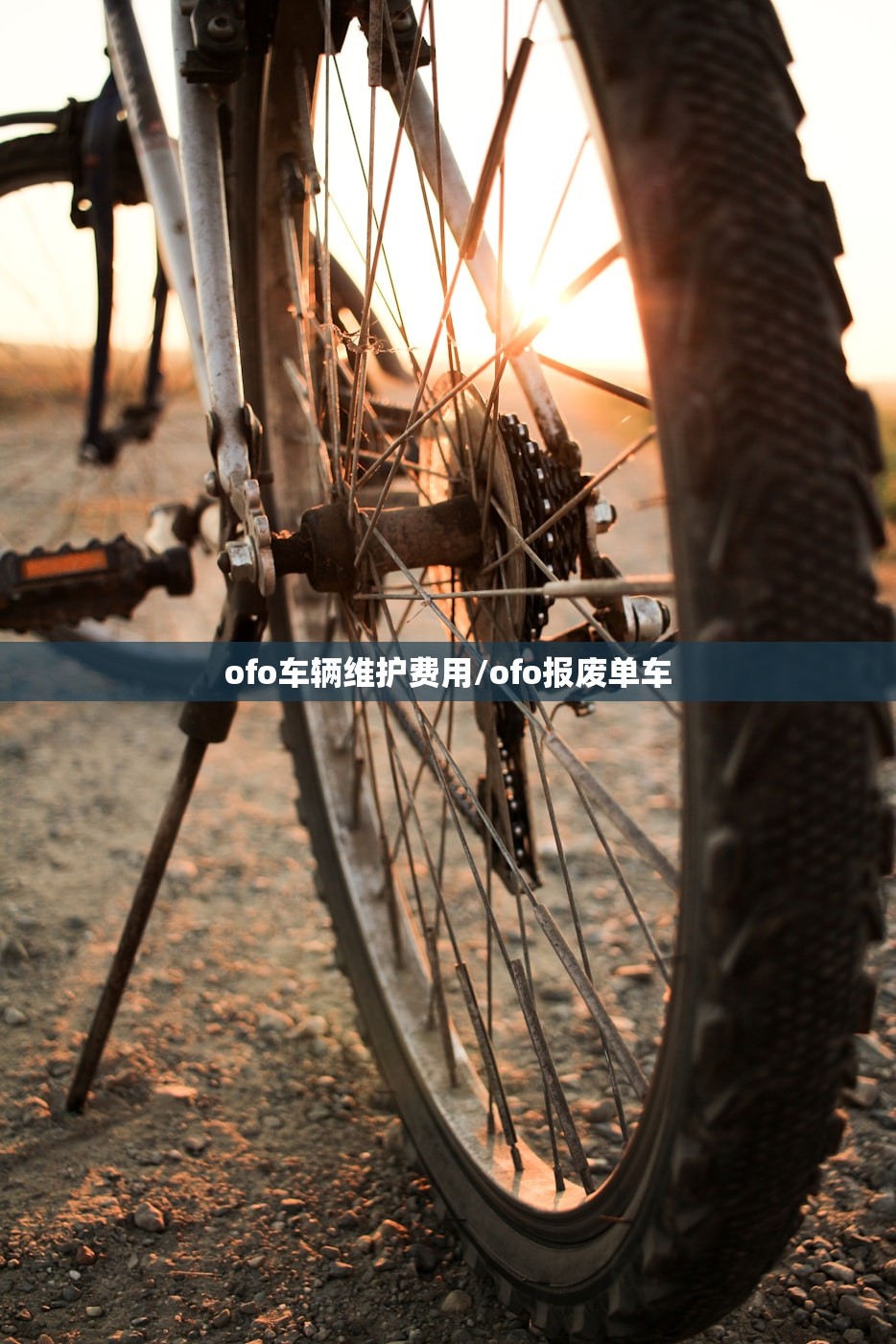 ofo车辆维护费用/ofo报废单车