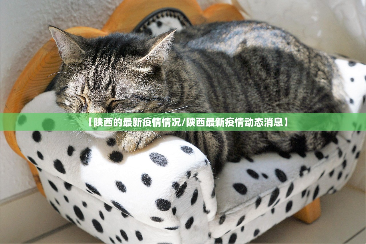 【陕西的最新疫情情况/陕西最新疫情动态消息】