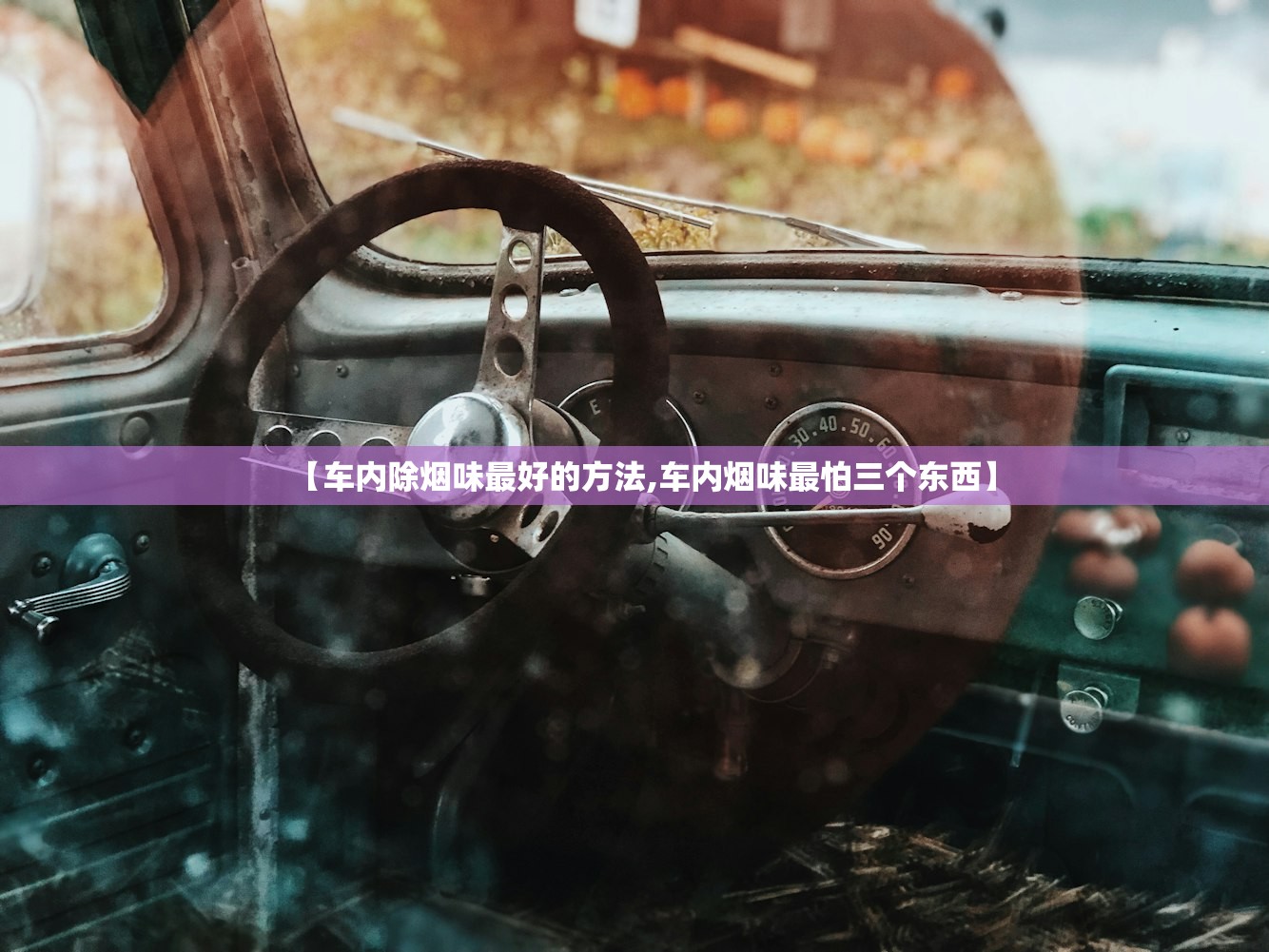 【车内除烟味最好的方法,车内烟味最怕三个东西】