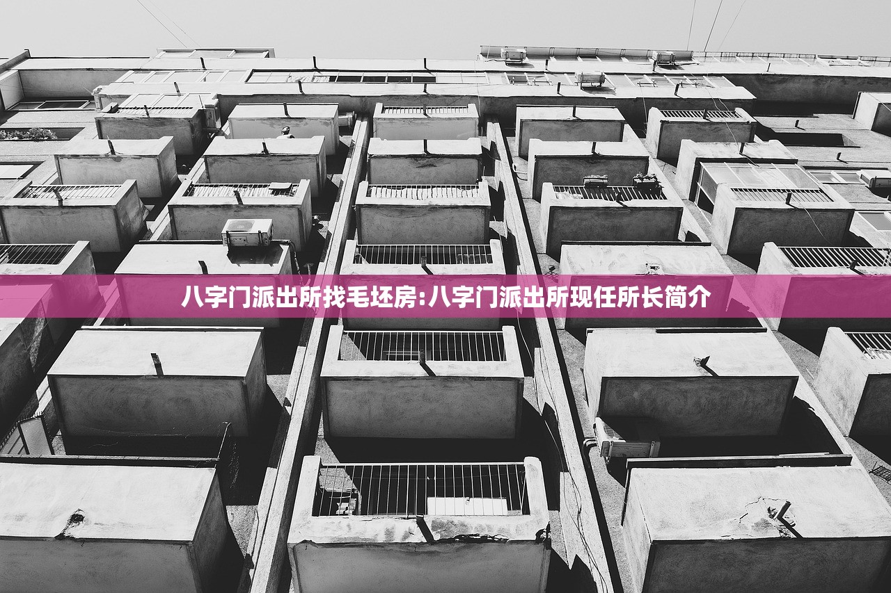 八字门派出所找毛坯房:八字门派出所现任所长简介