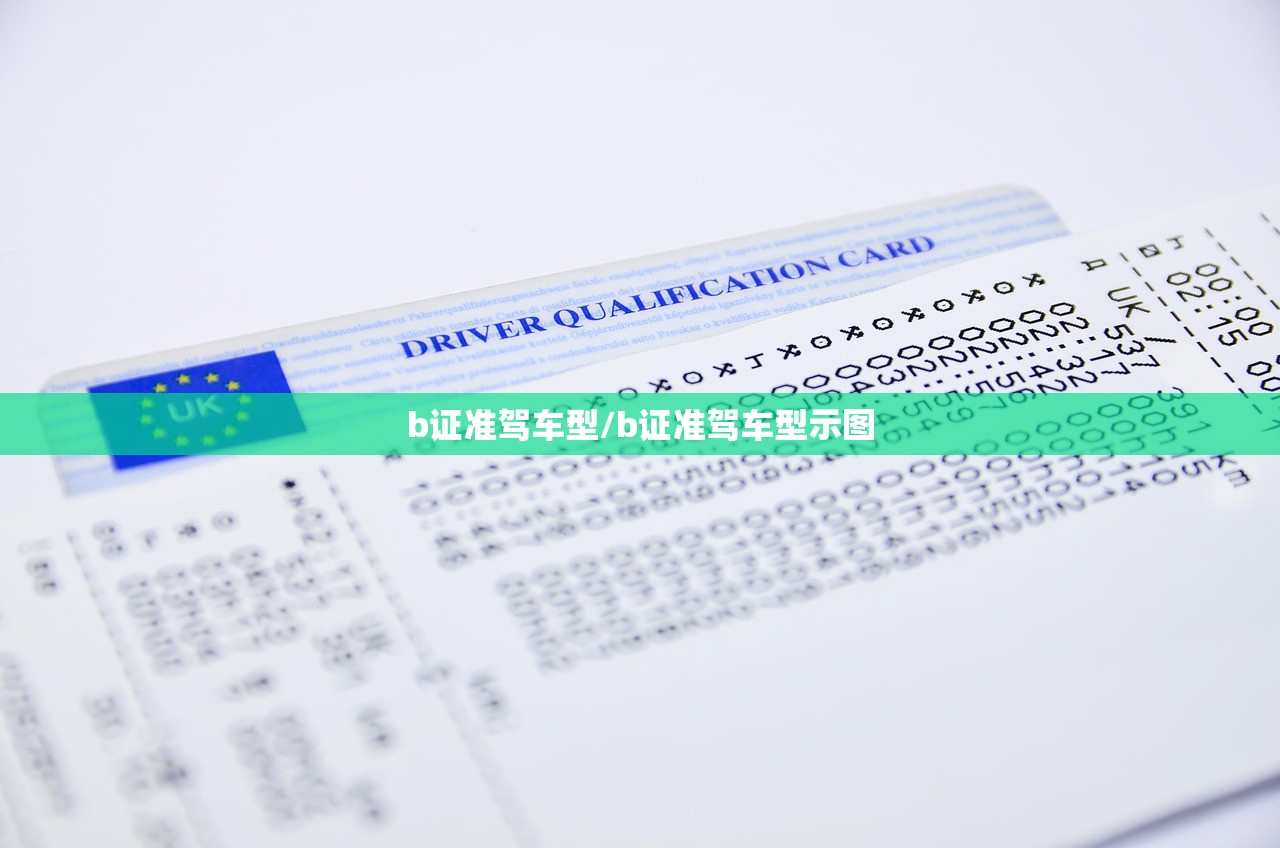 b证准驾车型/b证准驾车型示图