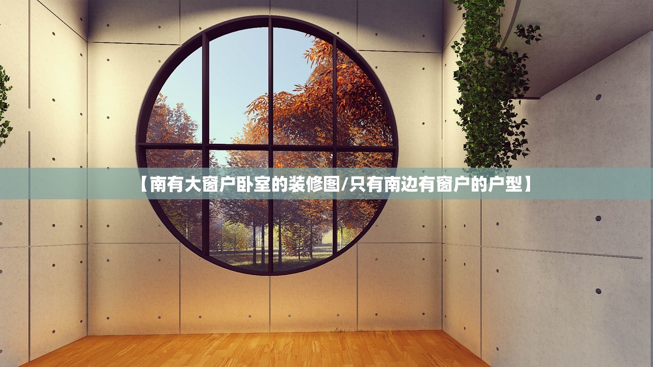 【南有大窗户卧室的装修图/只有南边有窗户的户型】