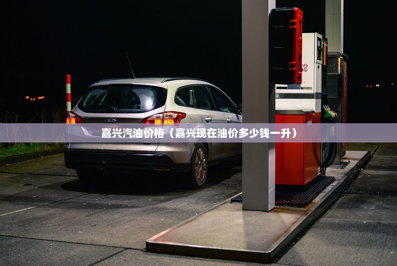 嘉兴汽油价格（嘉兴现在油价多少钱一升）