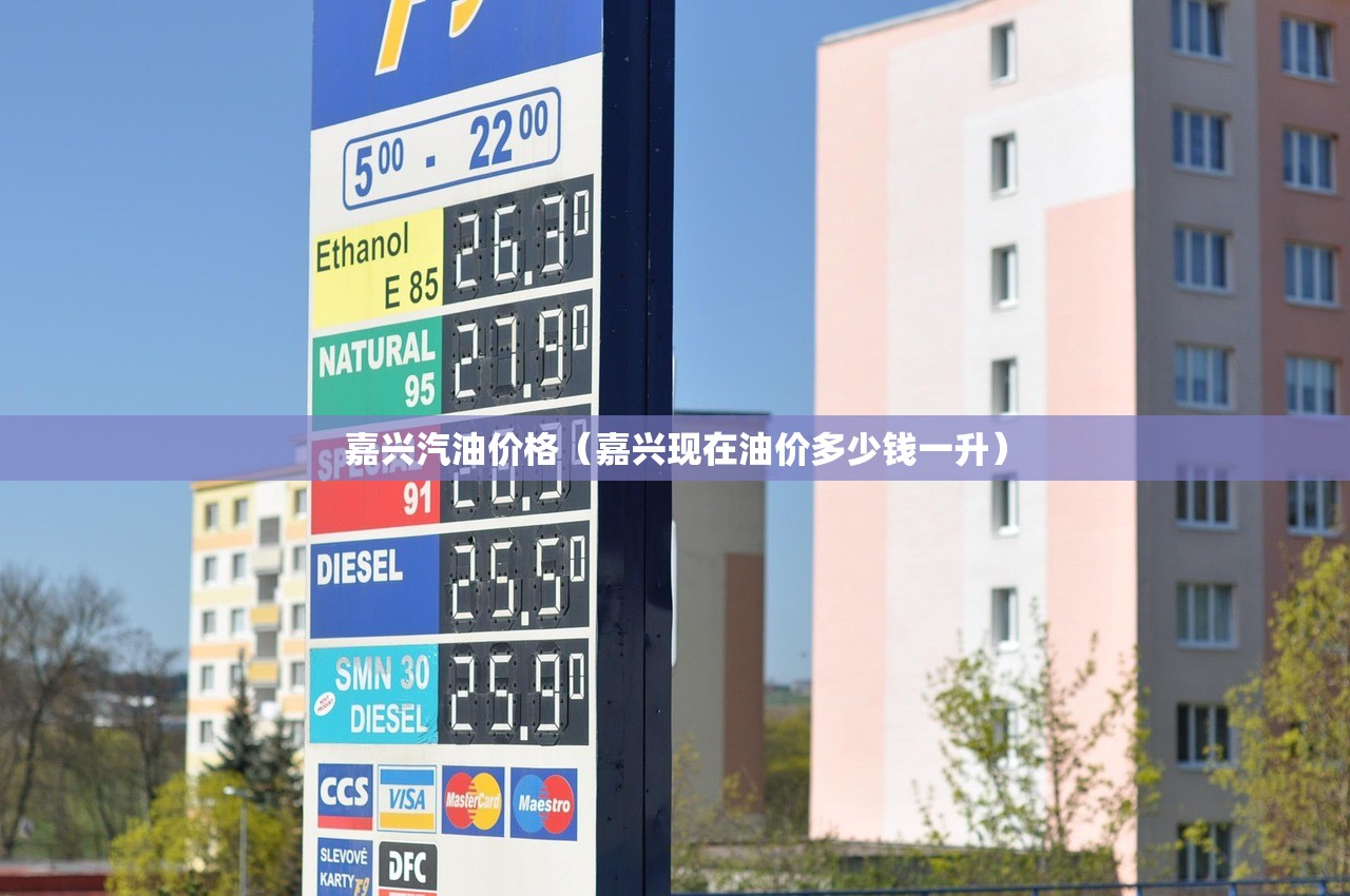 嘉兴汽油价格（嘉兴现在油价多少钱一升）