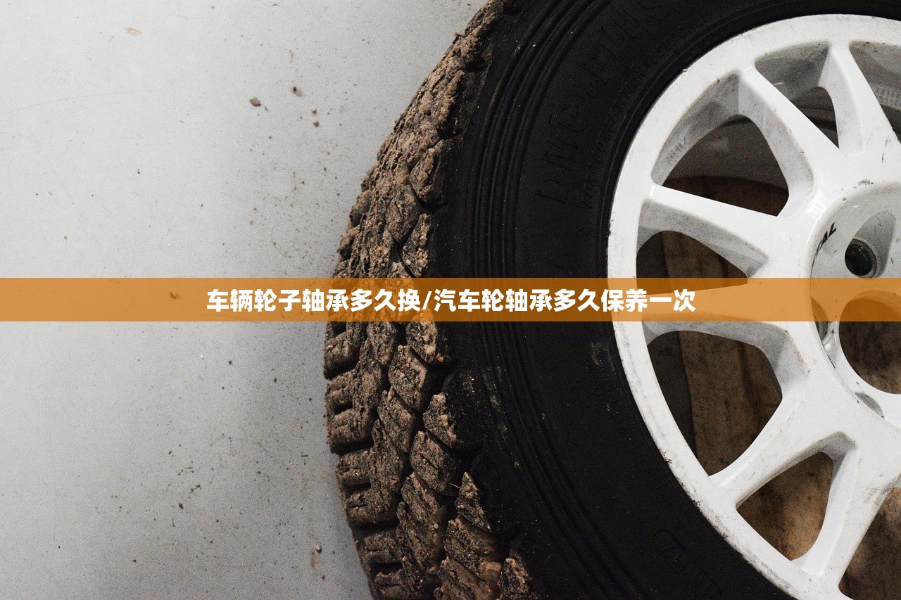 车辆轮子轴承多久换/汽车轮轴承多久保养一次