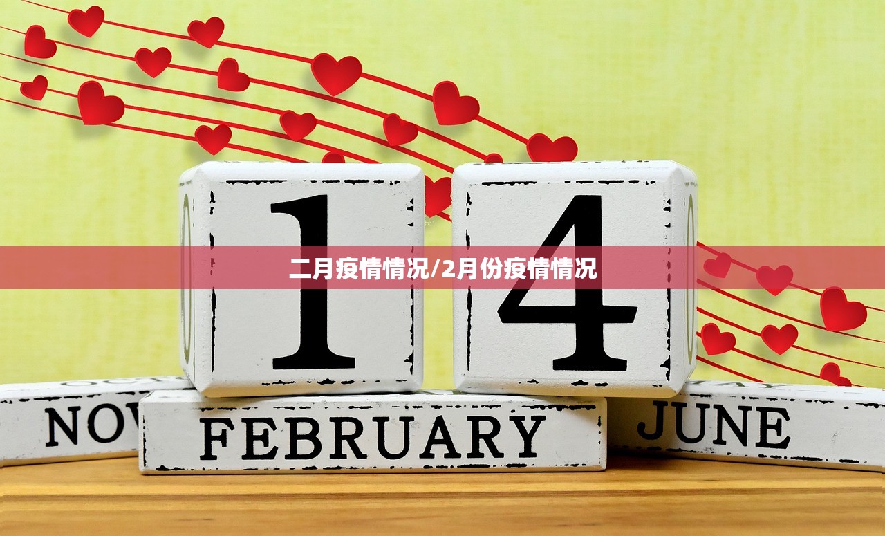 二月疫情情况/2月份疫情情况