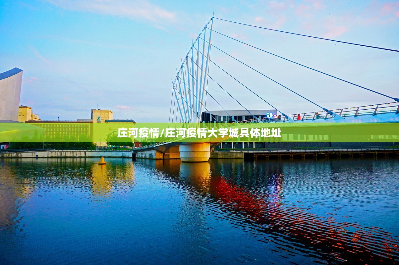 庄河疫情/庄河疫情大学城具体地址