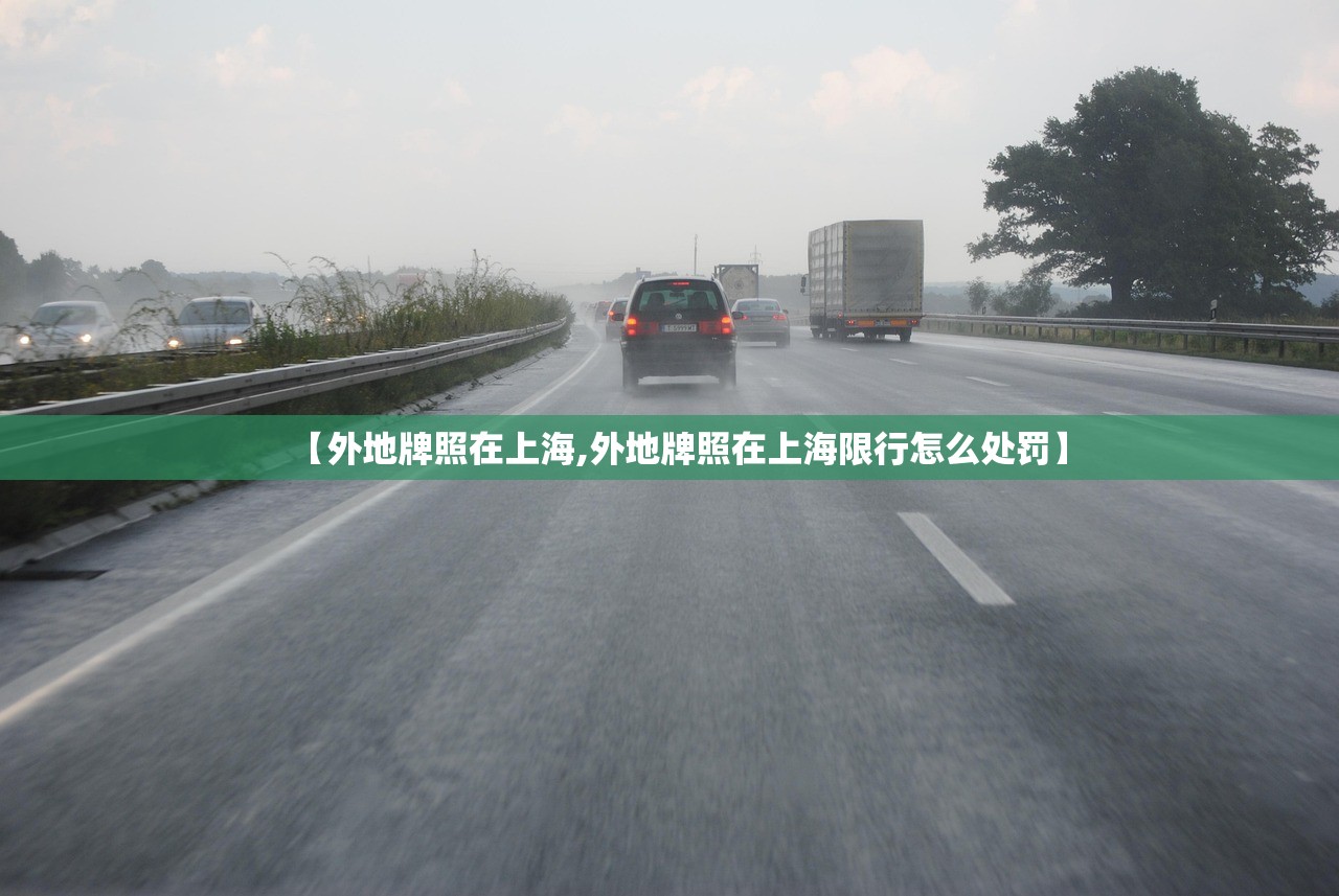 【外地牌照在上海,外地牌照在上海限行怎么处罚】