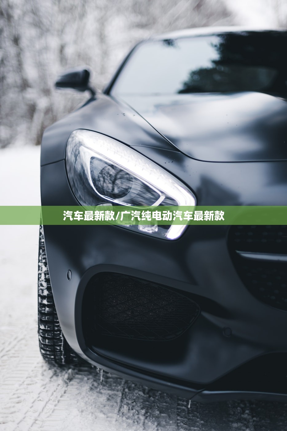 汽车最新款/广汽纯电动汽车最新款