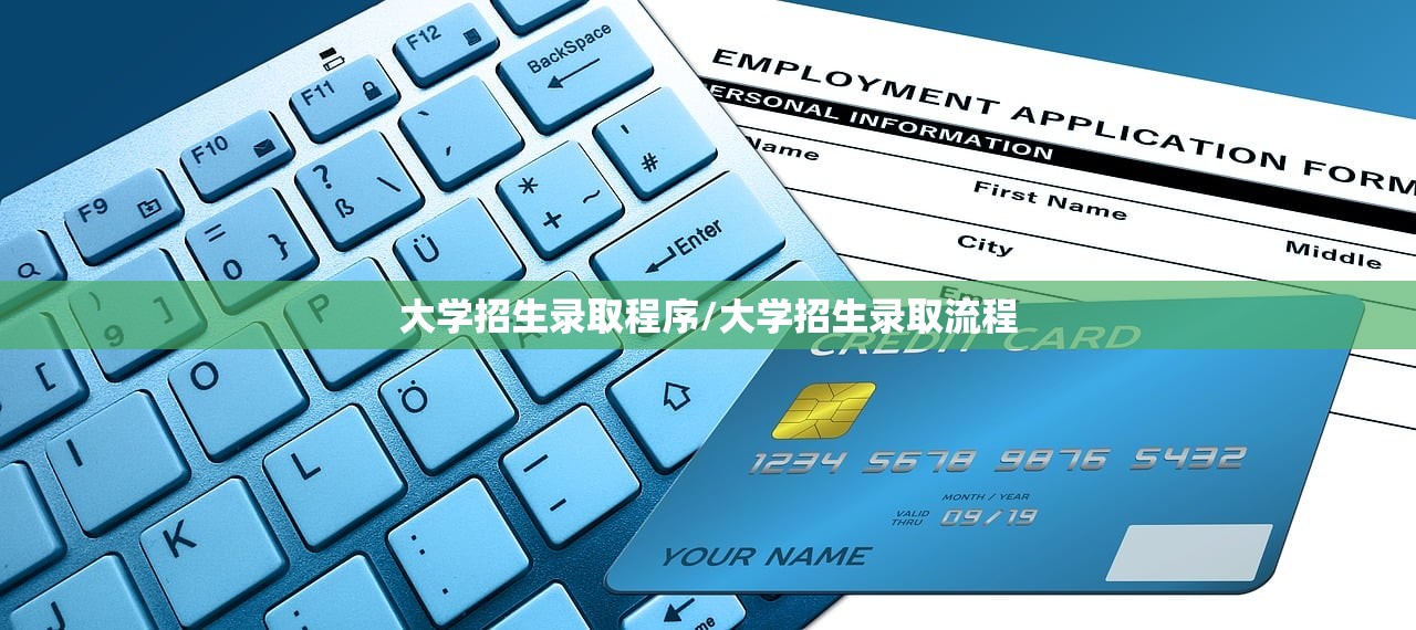大学招生录取程序/大学招生录取流程