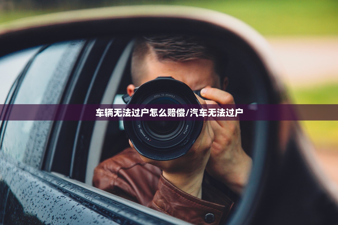 车辆无法过户怎么赔偿/汽车无法过户