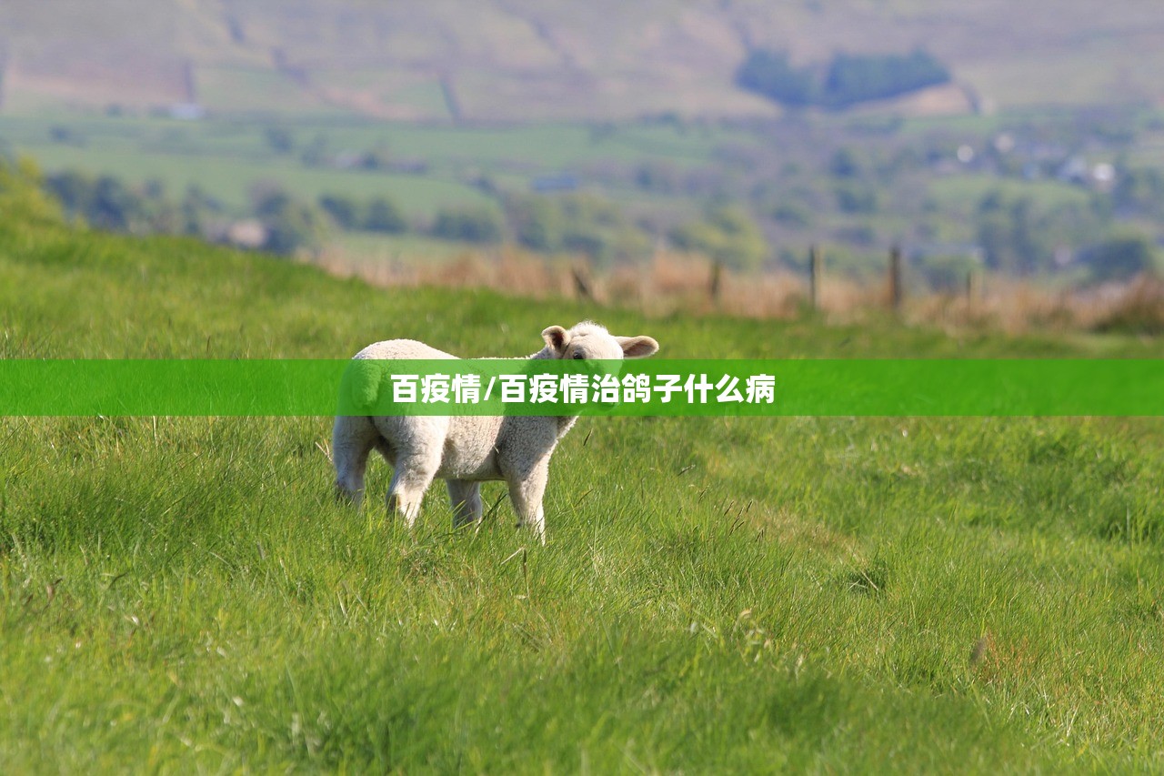 元旦春节能回家吗?多地返乡政策梳理/元旦以后可以返乡吗