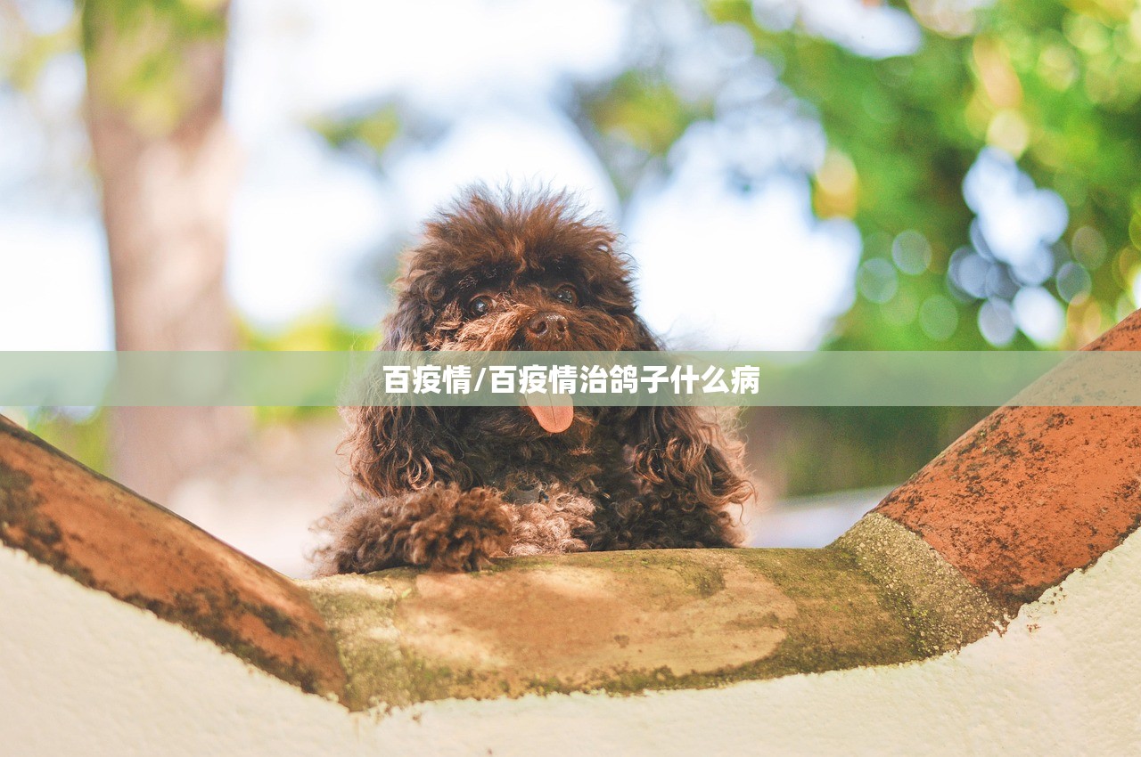 百疫情/百疫情治鸽子什么病