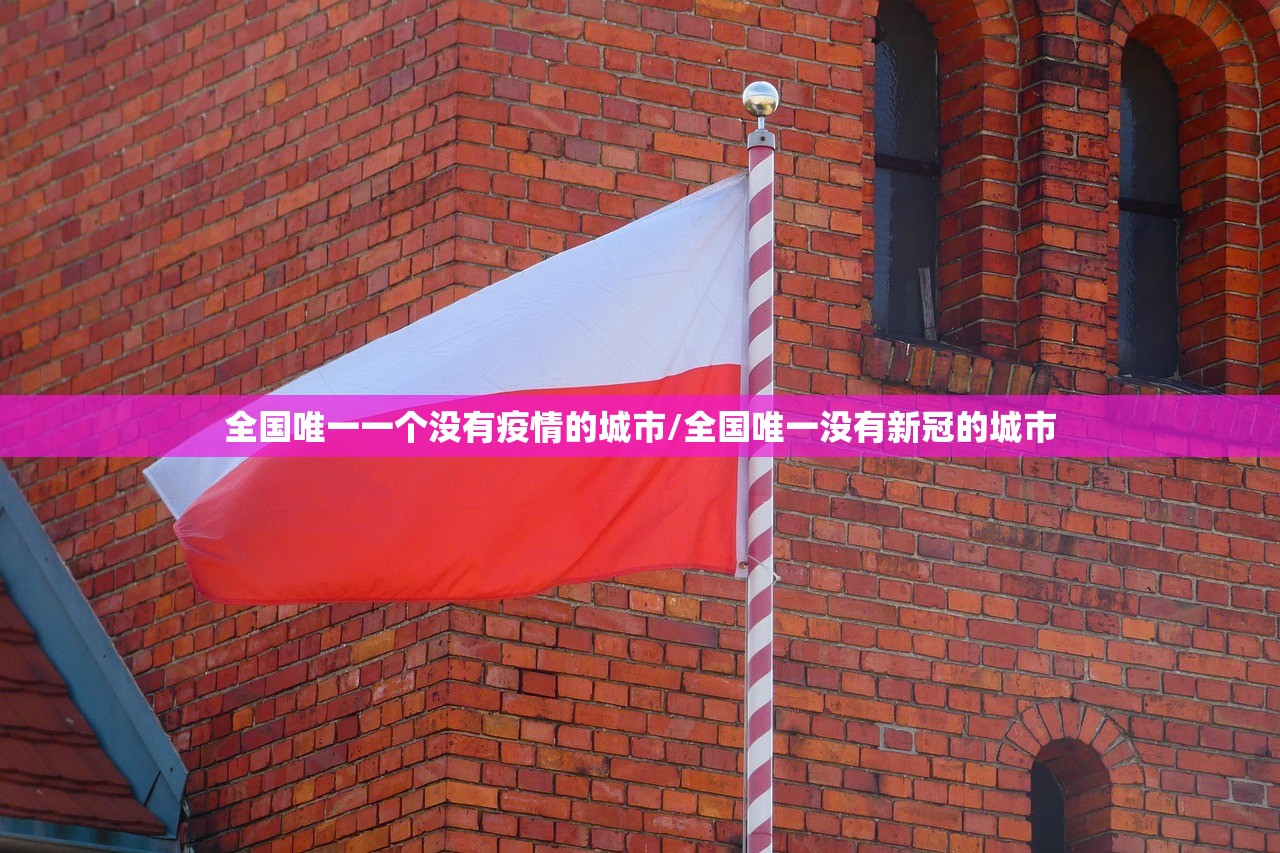 全国唯一一个没有疫情的城市/全国唯一没有新冠的城市 全国唯一一个没有疫情的城市/全国唯一没有新冠的城市