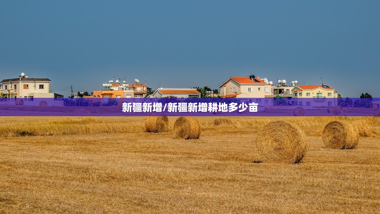 新疆新增/新疆新增耕地多少亩