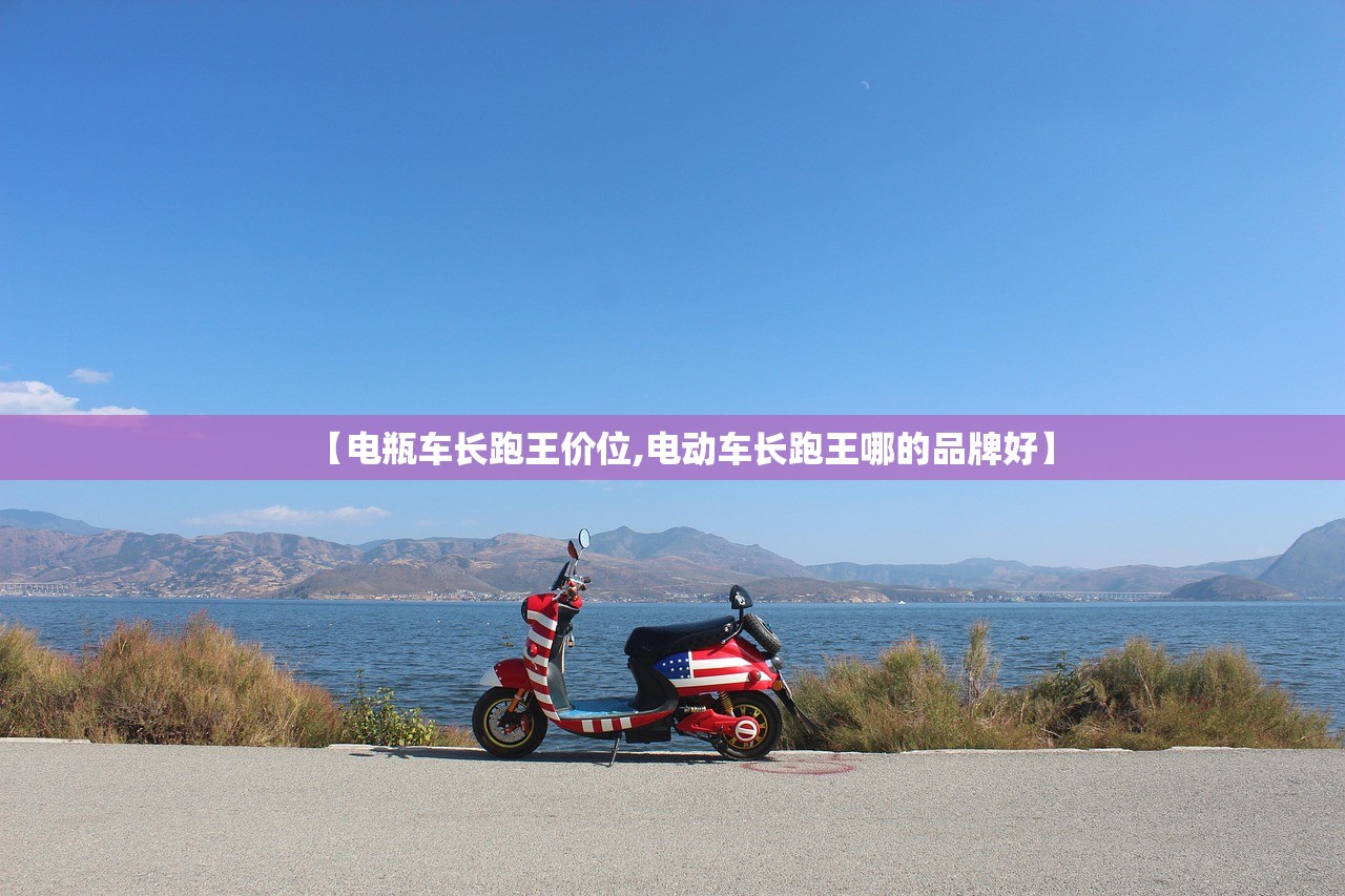 【电瓶车长跑王价位,电动车长跑王哪的品牌好】