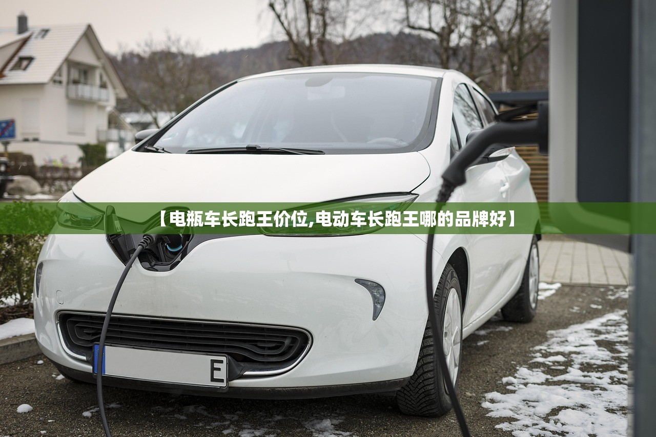 【电瓶车长跑王价位,电动车长跑王哪的品牌好】