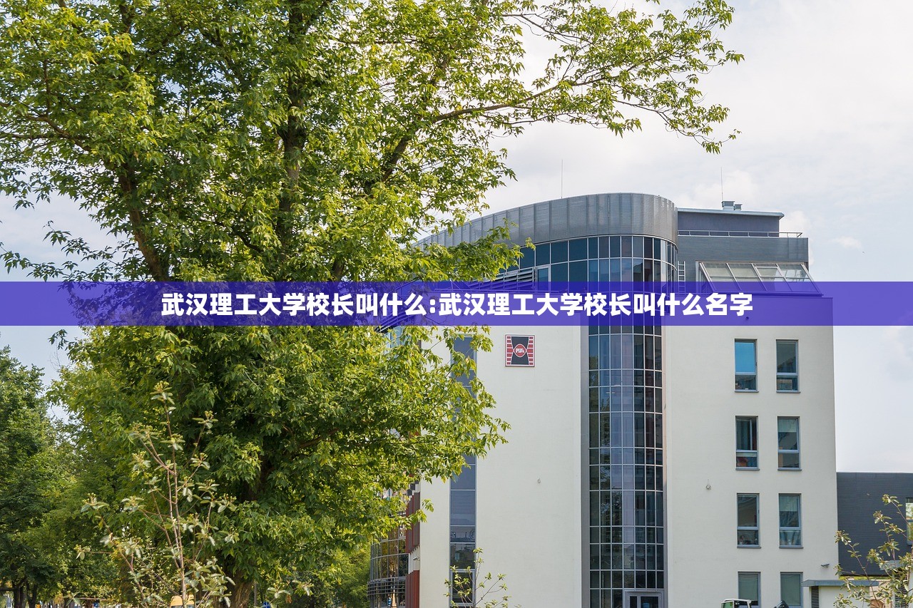 武汉理工大学校长叫什么:武汉理工大学校长叫什么名字