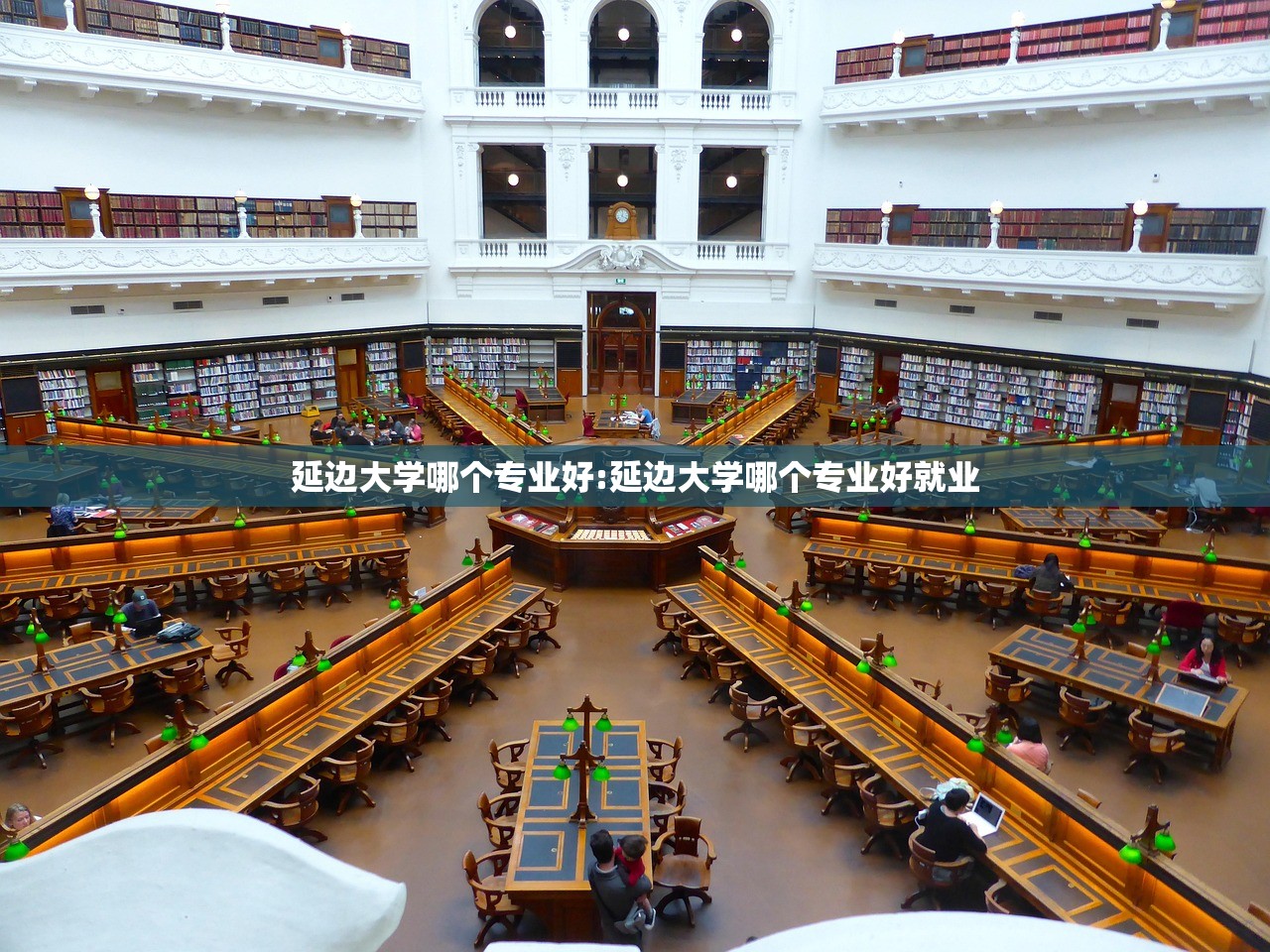 延边大学哪个专业好:延边大学哪个专业好就业