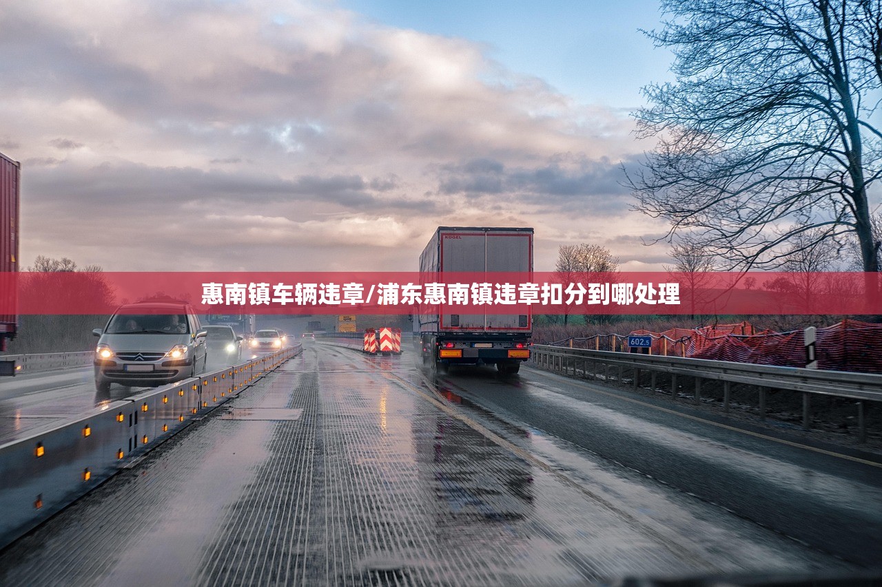 惠南镇车辆违章/浦东惠南镇违章扣分到哪处理