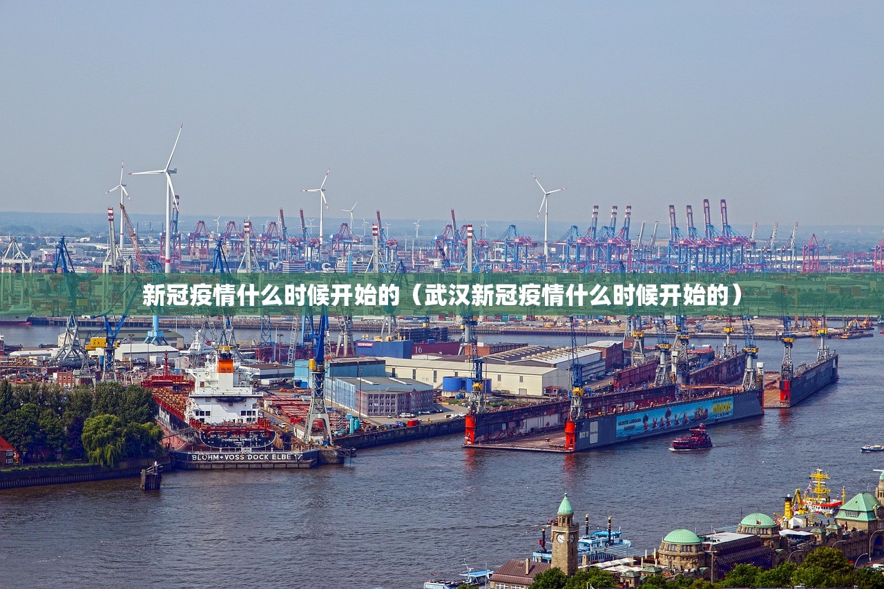 新冠疫情什么时候开始的（武汉新冠疫情什么时候开始的）