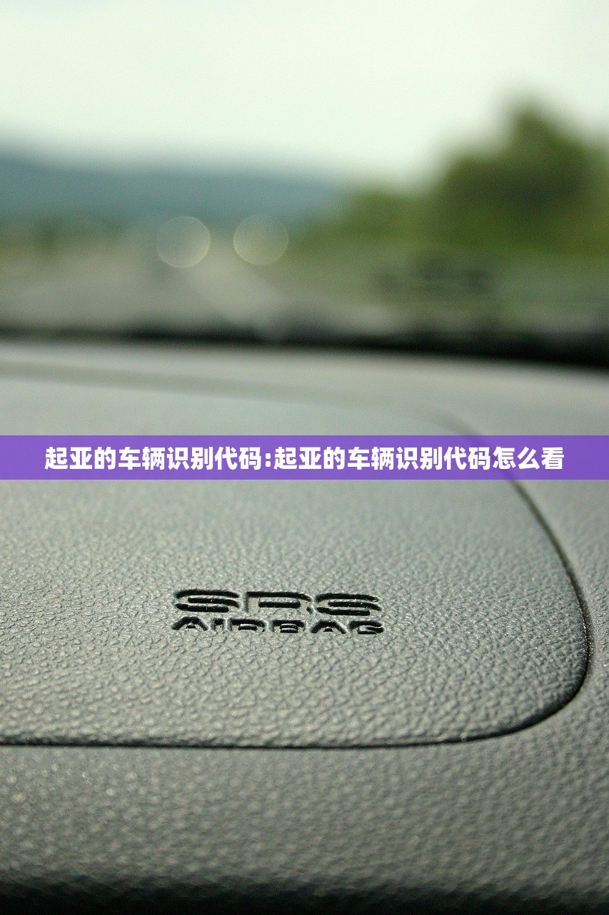 起亚的车辆识别代码:起亚的车辆识别代码怎么看